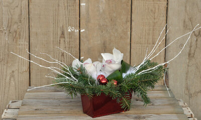 Compo 2 fleurons cymbidium