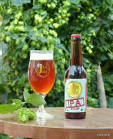 Ipa rouge (ambrée) 7 % alc. / 75 cl