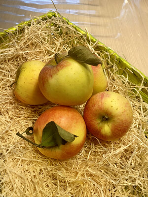 Pomme corail