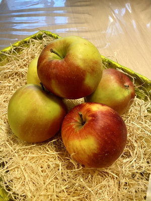 Pomme jonagold