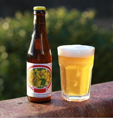 Bière aux fleurs de bouillon-blanc