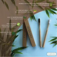 Brosse à dents en bambou adulte et e