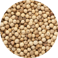 Poivre blanc de kampot