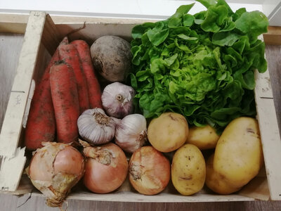 Panier 6 légumes