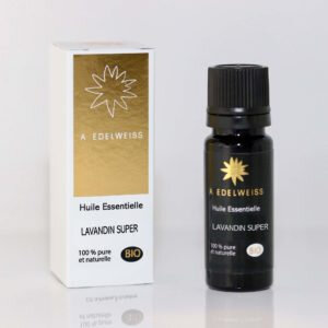 Lavandin super haute provence bio