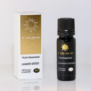 Lavandin grosso haute provence bio