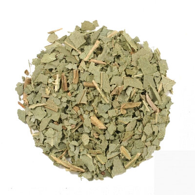 Infusion plante entière - eucalyptus