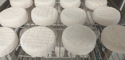 Petit biquet nature (fromage chèvre)