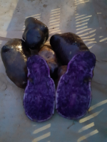 Pomme de terre prunelle (violette)