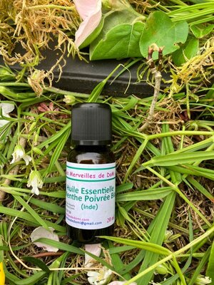 Huile essentielle menthe poivrée bio