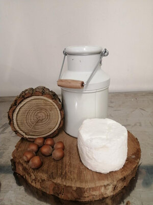 Fromage mi chèvre frais