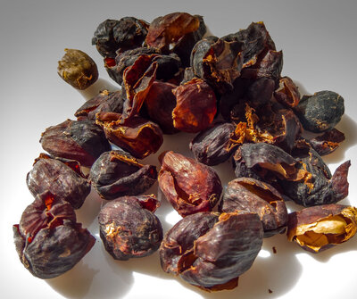 Infusion de cascara café