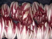 Endives  rouges