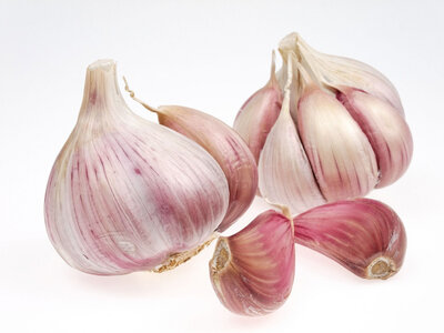 Ail bio 100g