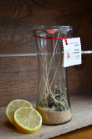 Préparation pour rhum arrangé magic citrus