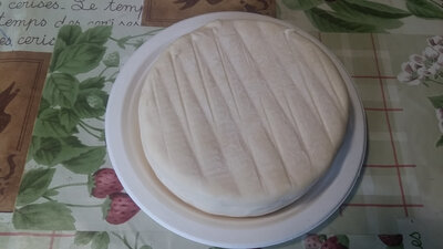 Fromage en début d'affinage - le chaillot
