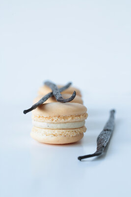 Macaron vanille de tahiti x1