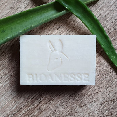 Savon aloe vera au lait d'ânesse bio (100g)