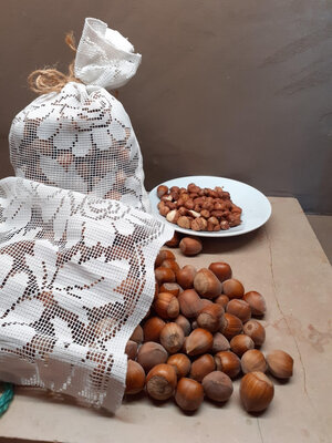 Noisettes