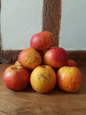 Pommes 'rambault'