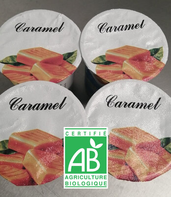 Yaourt caramel x4