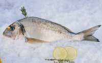 Dorade royale 500g