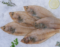 Limande 500g