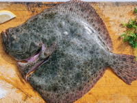 Turbot 500g
