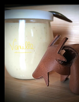 Crème dessert vanille