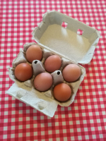 Boîte de 6 petits œufs plein air calibre s