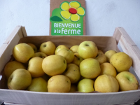 Belchard (chanteclerc)