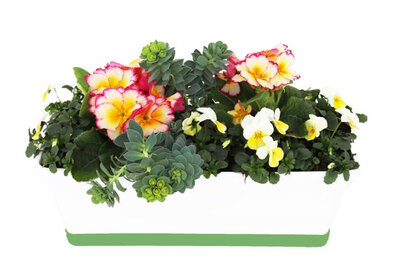Collection athènes jardinière de 40 cm