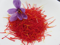 Filaments de safran