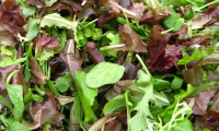 Mesclun