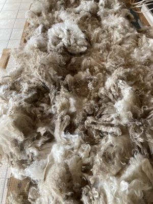 Laine brute mohair