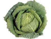 Chou vert frisé