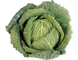 Chou vert frisé