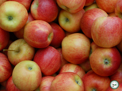 Pomme 'gala'