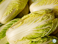 Choux chinois