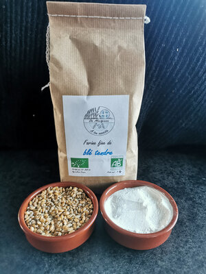 Farine fine de blé tendre bio t80