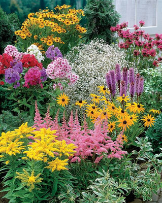 Grand panier de plants fleuris