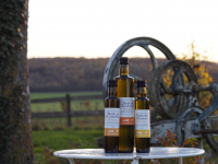 Huile de cameline biologique