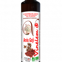 Vinaigre de cidre anis goji 500 ml