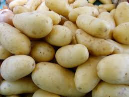 Pomme de terre claustar