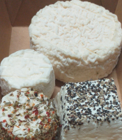 Petite box assortiment fromages de chèvre bio