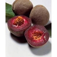 Pêche des vignes rouge  3 menthe confiture