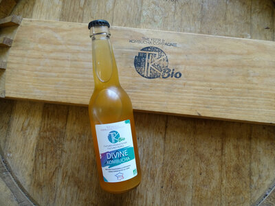 Divine kombucha bio