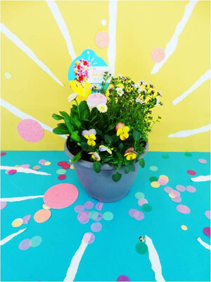 Collection printemps pétillant p03l