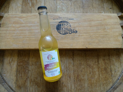 Jun kombucha bio