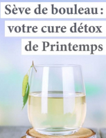 Sève de bouleau en bouteille de 1 litre